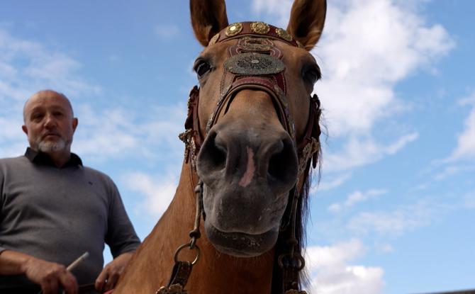 Des spectacles équestres médiévaux se préparent au château de Montigny