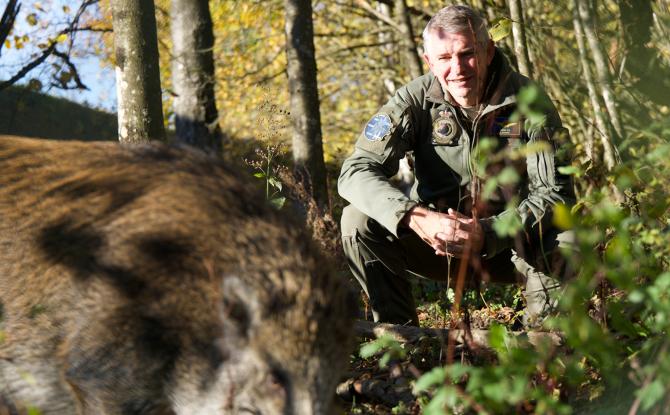 Florennes - Marco, le jeune sanglier, devient mascotte de la base aérienne