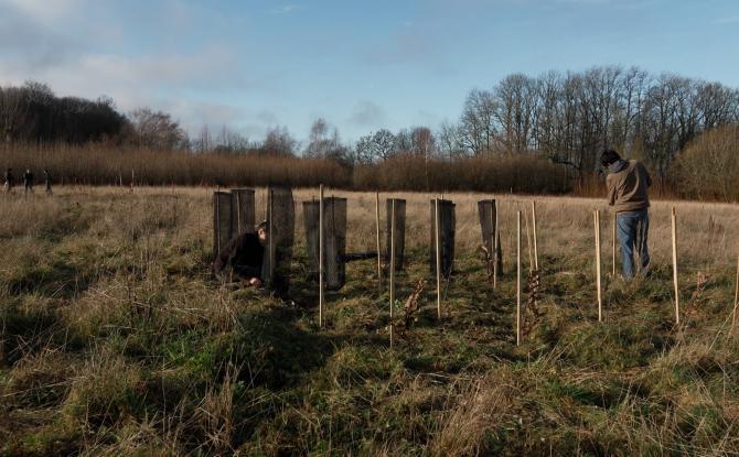Gesves: un projet de migration assistée pour les arbres