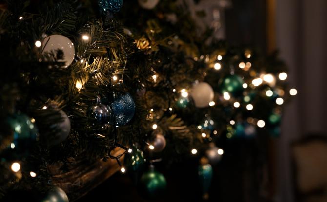 Cultivarium fête Noël !