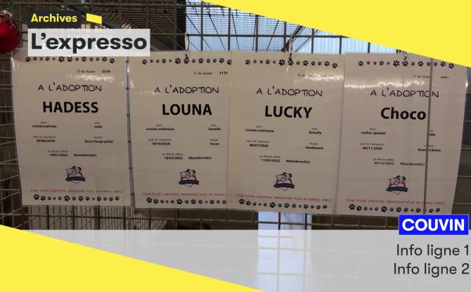 L'expresso de ce mardi 6 janvier: appel aux dons à Couvin et relance du budget participatif à Namur