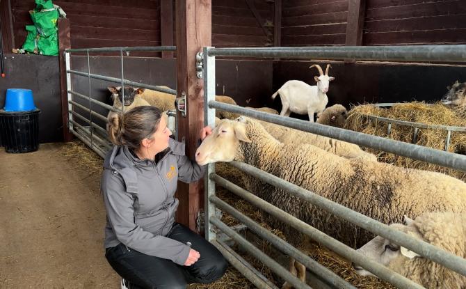 Tatouages solidaires au profit d'Equi'chance à Philippeville