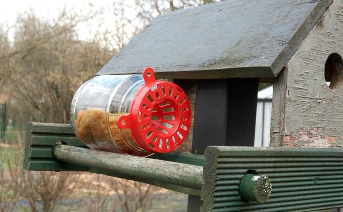 Gesves : un piège spécial anti frelons asiatiques
