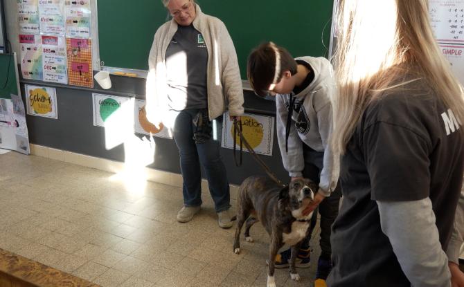 Jemeppe-sur-Sambre: des élèves sensibilisés au bien-être animal