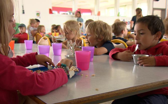 Plus de 13.000 repas servis quotidiennement dans les cantines durables en Wallonie