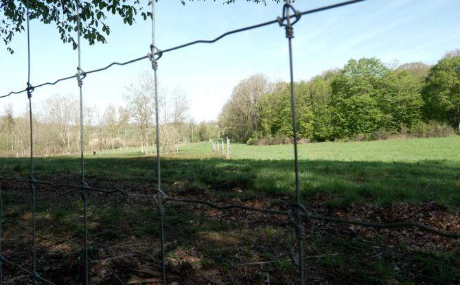 Gesves: lutter contre l'usurpation de chemins communaux