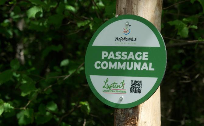 Le soleil invite à découvrir les nouveaux sentiers de Lustin