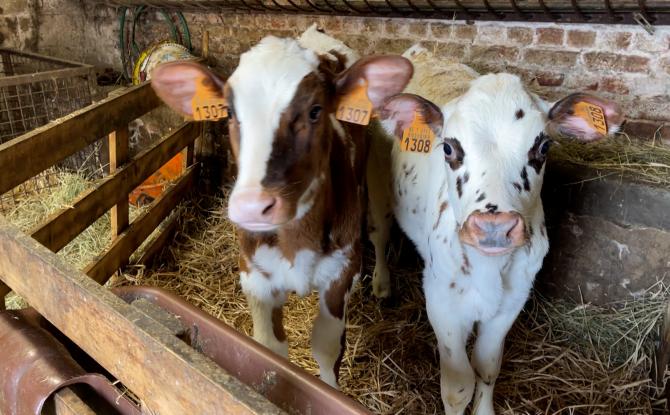 Quel espoir donner aux repreneurs des fermes wallonnes ?