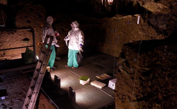 Traque à l'ADN à la Grotte de Scladina
