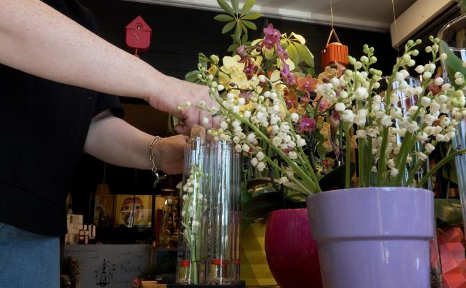 Le muguet du 1er mai