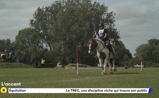 Le TREC, une discipline niche de l'équitation ouverte à tous qui trouve son public
